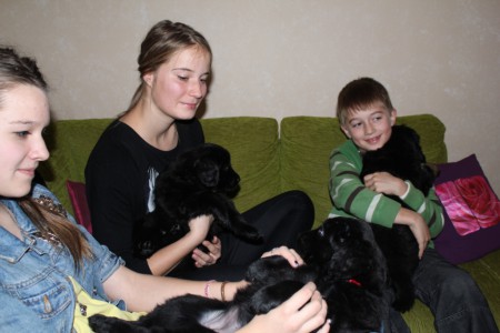 to je celkom fajn ...